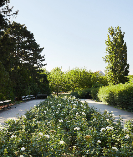 parkanlage-wohngarten parkanlage-wohngarten